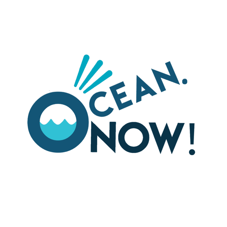 Climate Hero Ocean Now