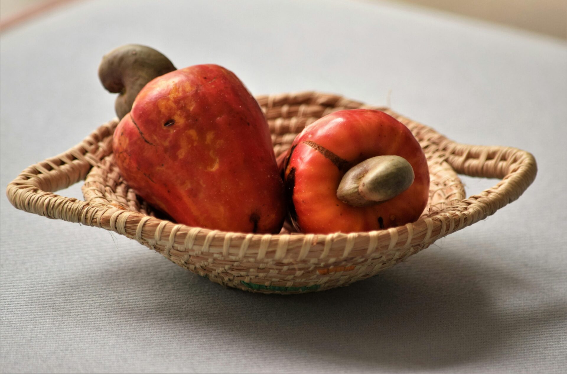 Klima-Campus-Good-News-Cashew