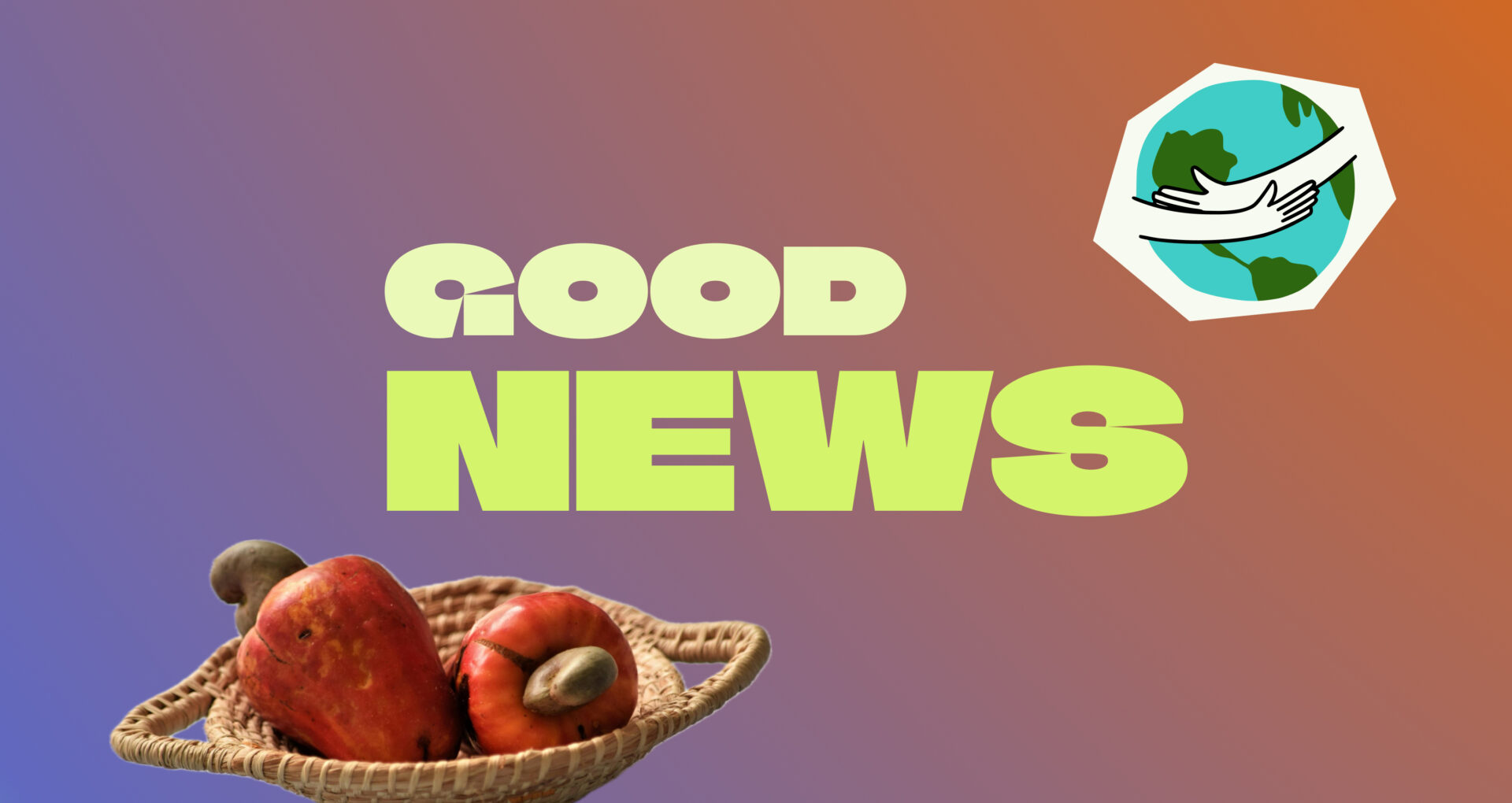 Klima Campus Good News Oktober 2024