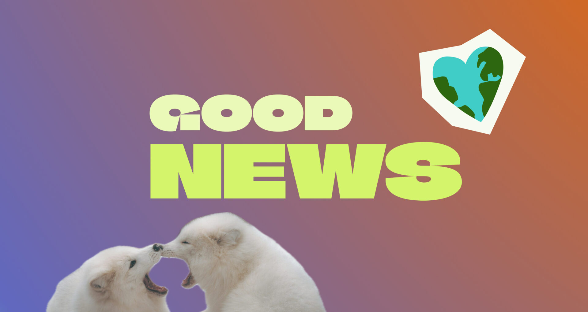 Klima Campus Good News November 2024
