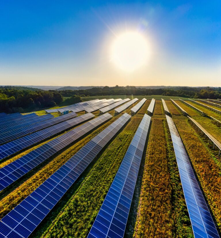 Klima Campus Good News: Solarpanele auf den Feldern