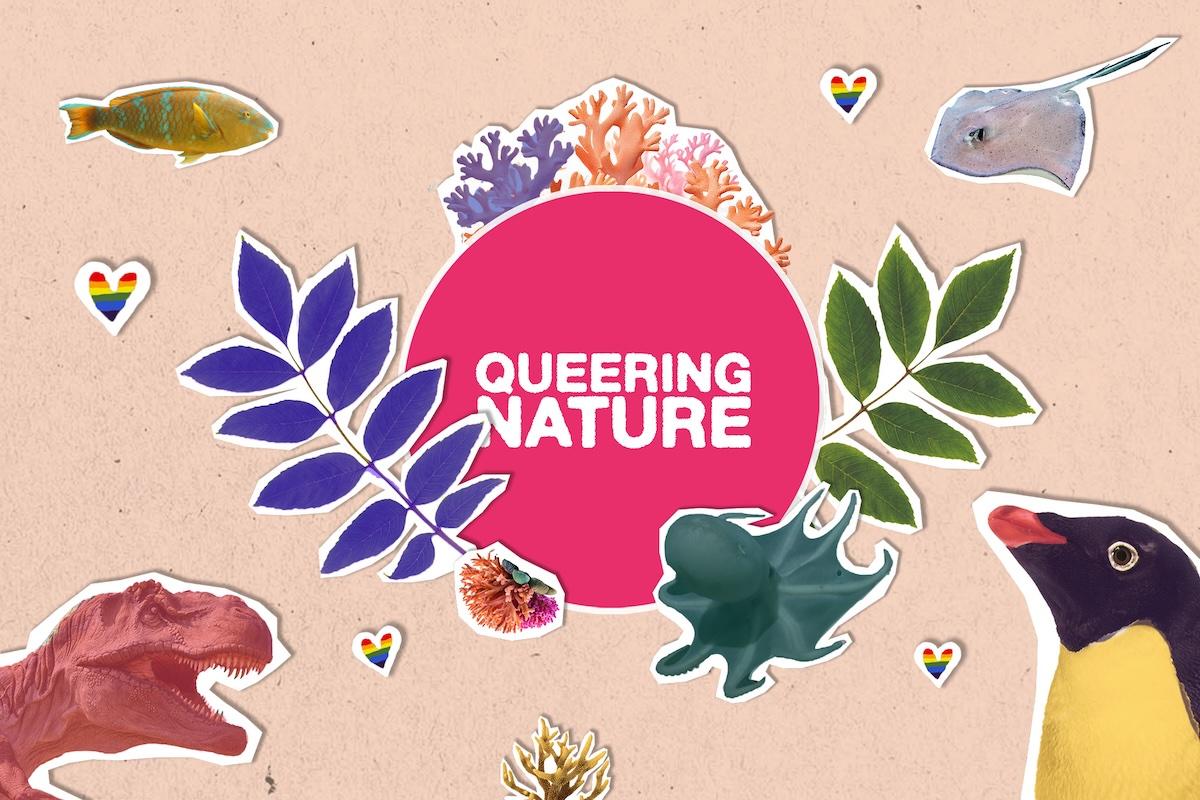 Klima Campus Act Now Events: Queering Nature