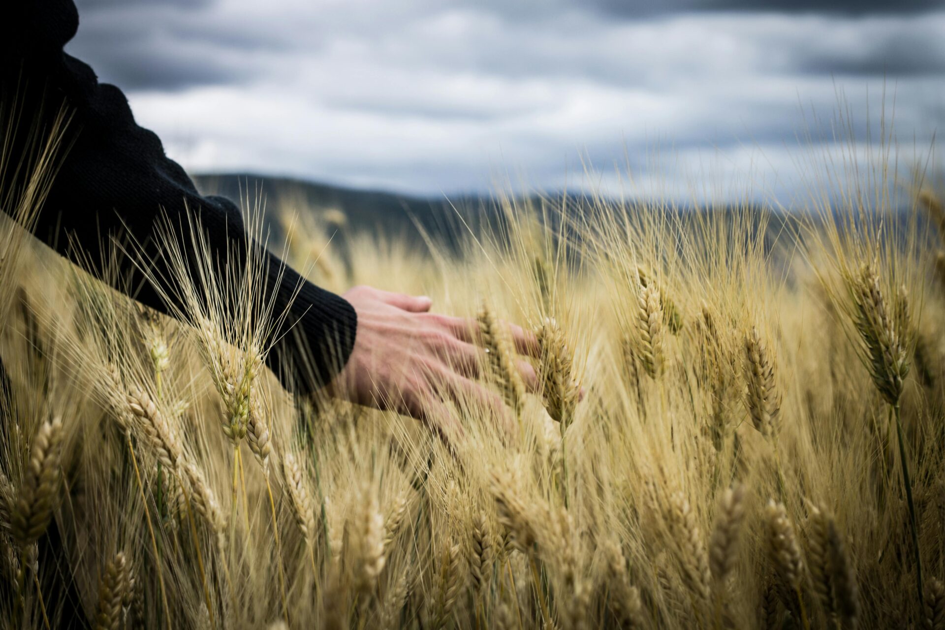 Klima Campus Good News: Solidarische Landwirtschaft boomt