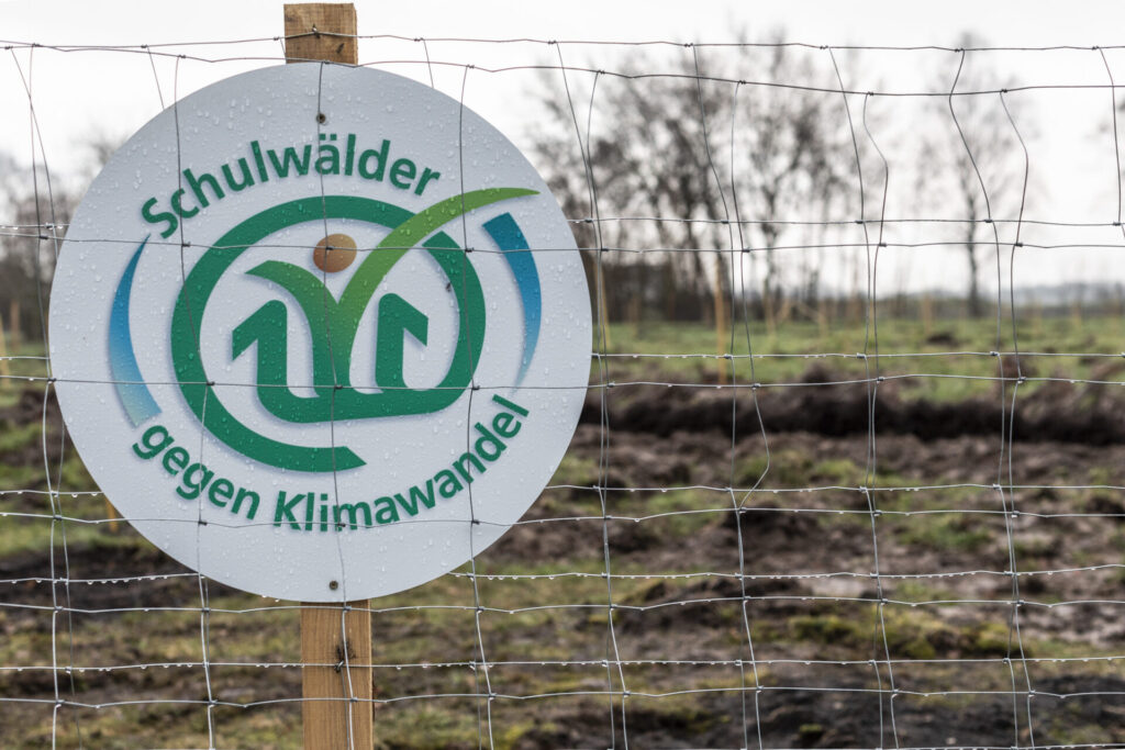 Klima Campus Climate Hero: Schulwälder für Klimawandel