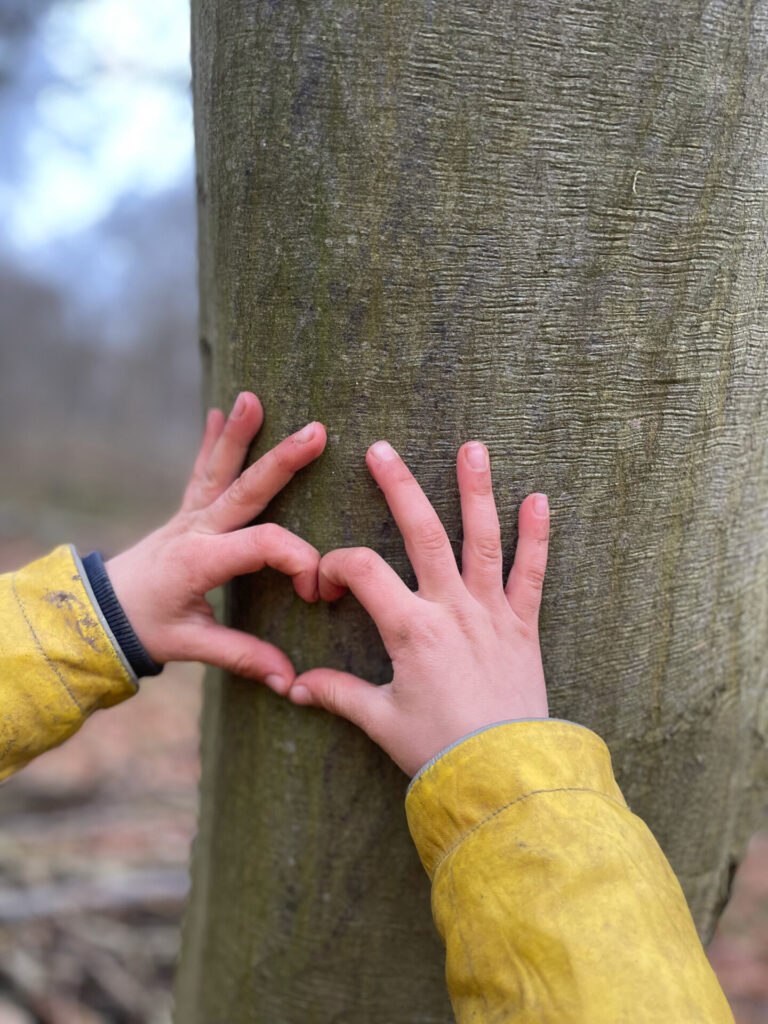 Klima Campus Climate Hero: Schulwälder für Klimawandel