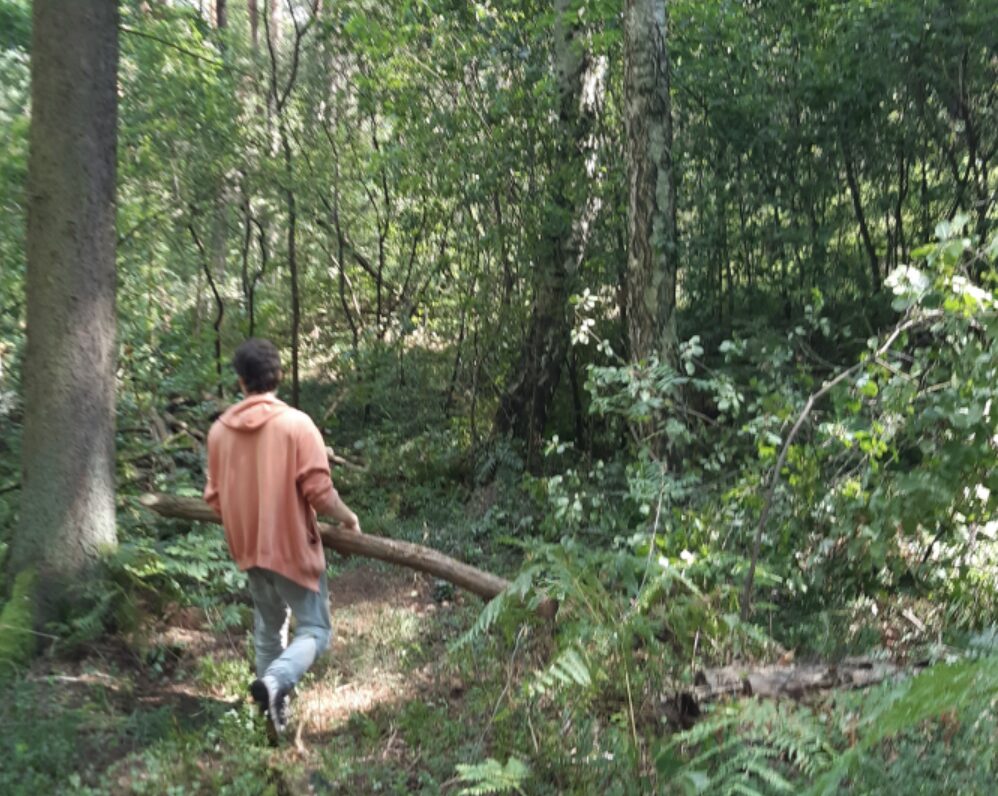 junger Mann im Wald trägt einen dünnen Baumstamm