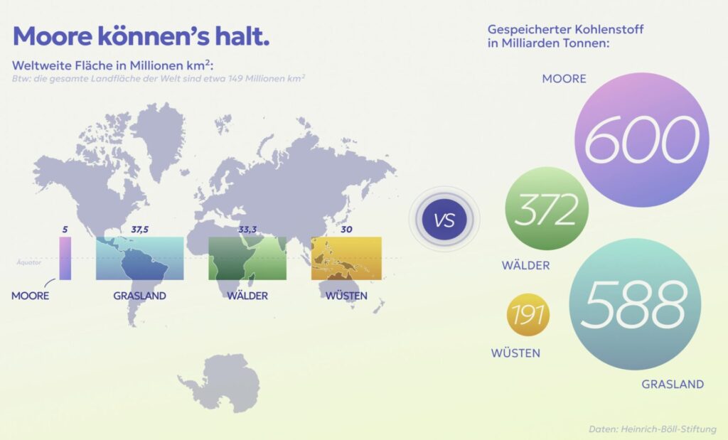 Die Grafik zeigt die weltweite Fläche von Mooren und ihre enorme Fähigkeit CO2 zu speichern.