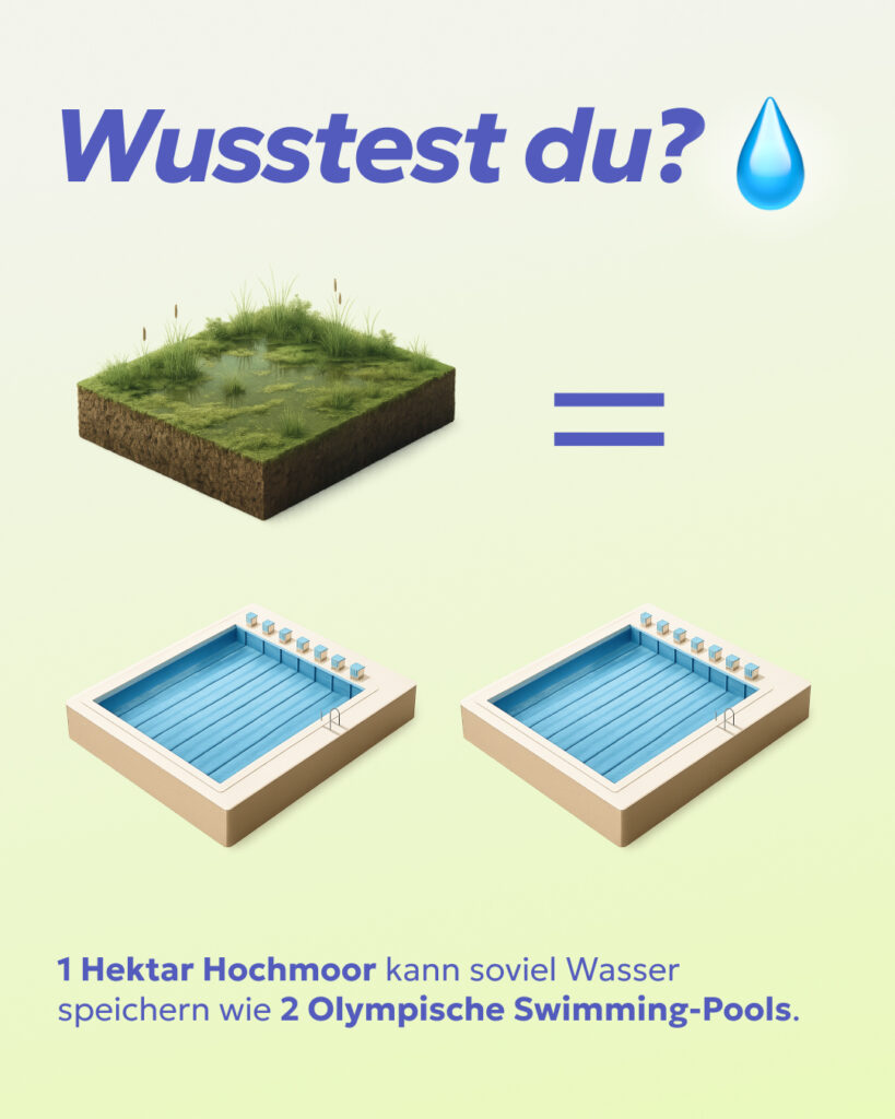 Die Illustration verlgeich einen Hektar Moor mit zwei Olympischen Schwimmbecken.