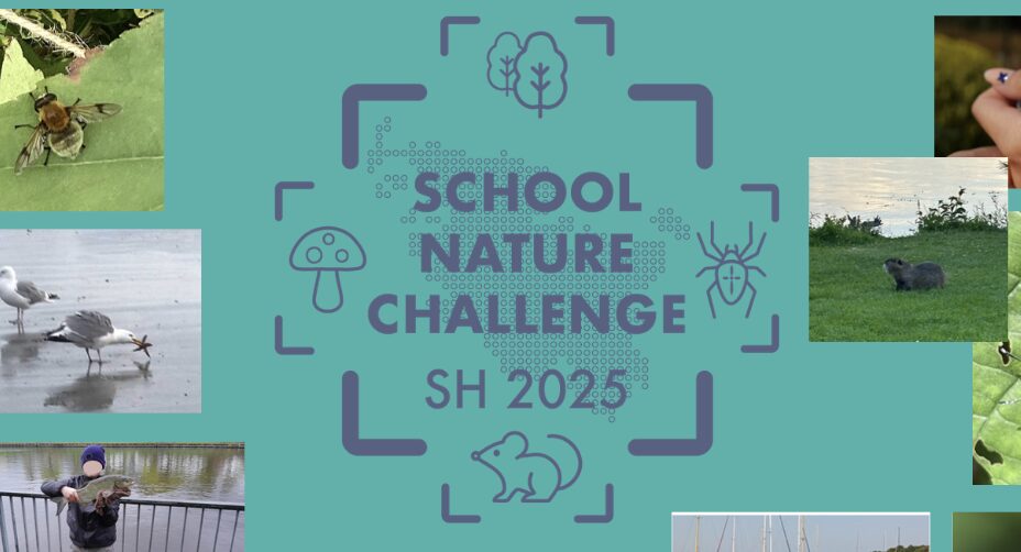 school nature challenge