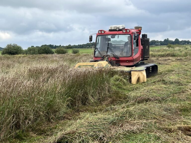 Auf der Klimafarm: Gräser im Moor werden maschinell gemäht.