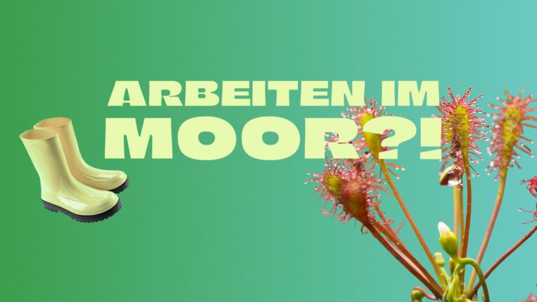 Collage mit Sonnentau, Gummistiefel und Schriftzug: Arbeiten im Moor?!