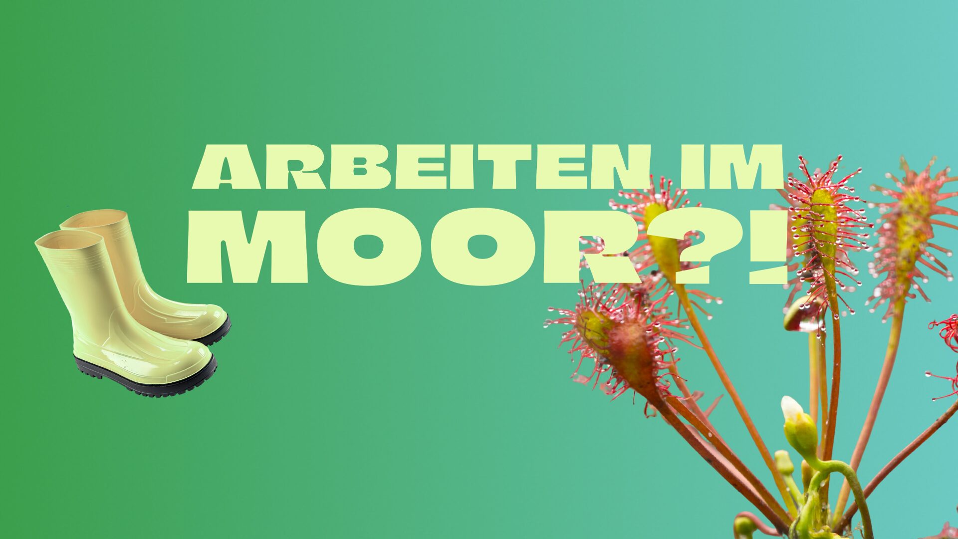 Collage mit Sonnentau, Gummistiefel und Schriftzug: Arbeiten im Moor?!