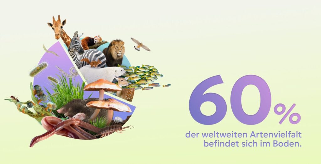 Die Grafik zeigt, dass fast 60 Prozent der Arten im Boden leben.