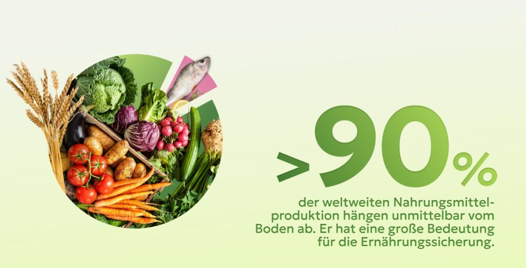 Die Grafik zeigt, dass 90% unserer Nahrung im Boden wächst.