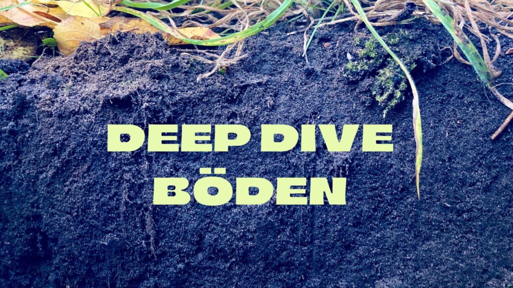 Bodenprofil mit Text: Deep Dive Böden