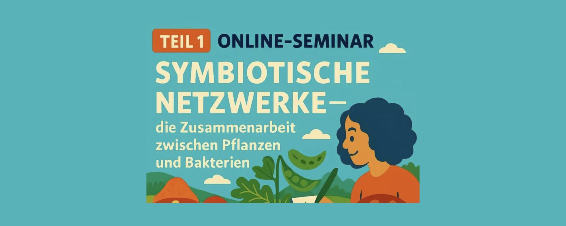 Ankündigungsplakat der Seminarreihe - Symbiotische Netzwerke