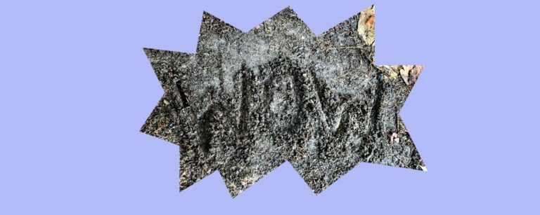 Das Wort "Wow" in den Erboden geritzt.