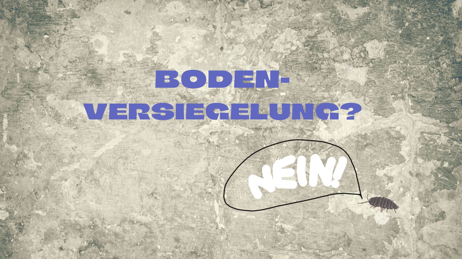 Auf einer großen Betonfläche sitzt eine kleine Assel und sagt nein.