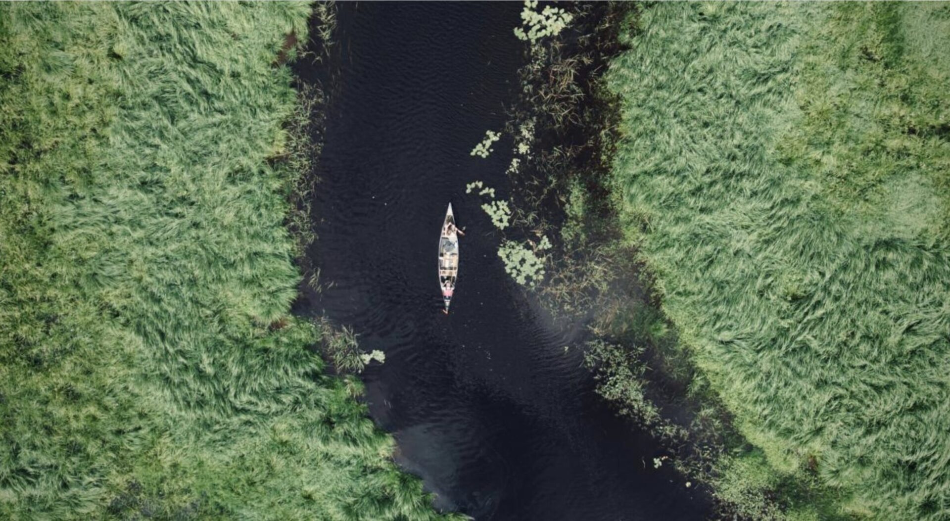 Von oben: Ein Kanu auf einem Fluss und grünem Ufer.