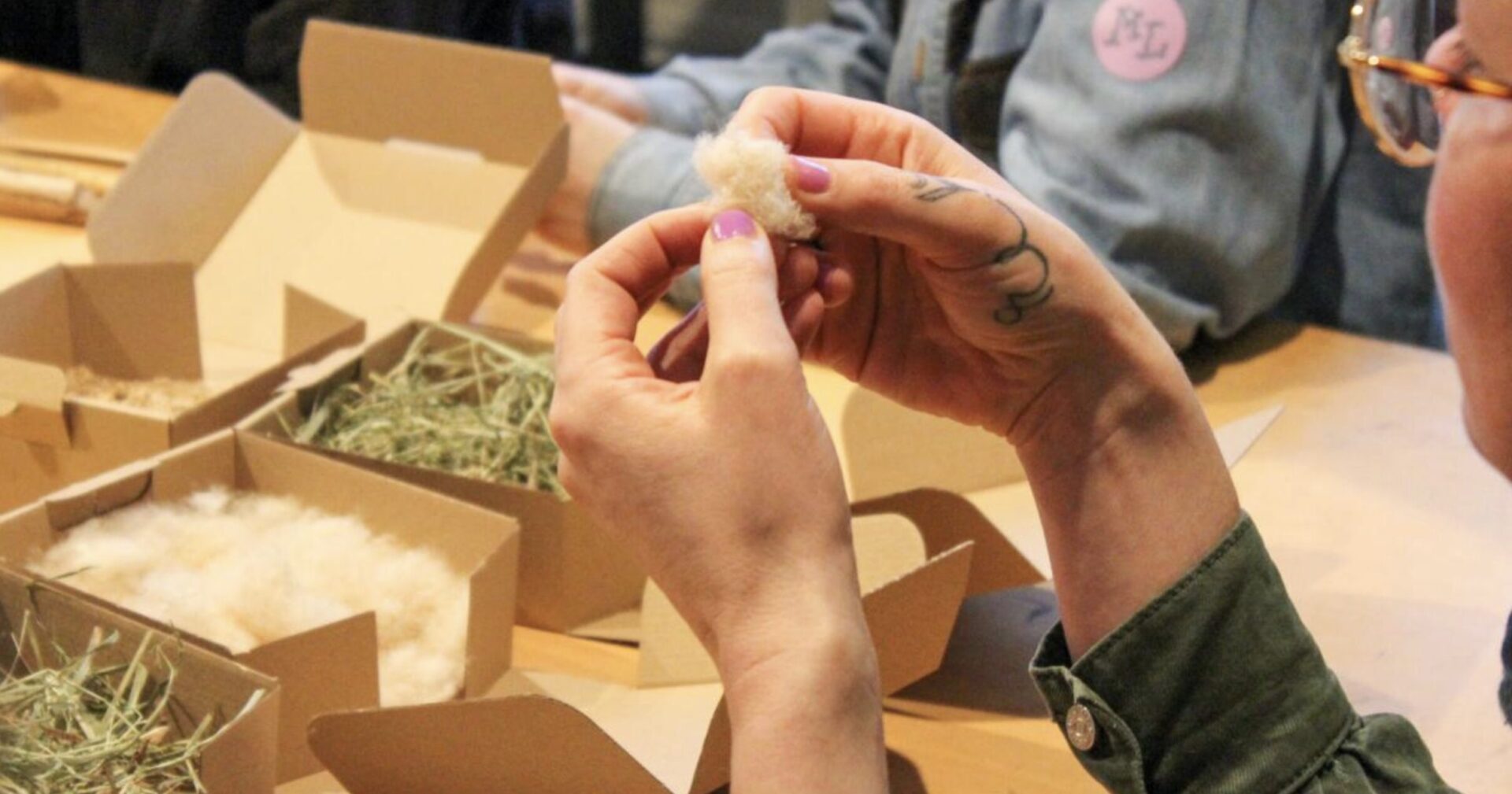 Hände in Großaufnahme fühlen flauschiges Material aus dem Moor.