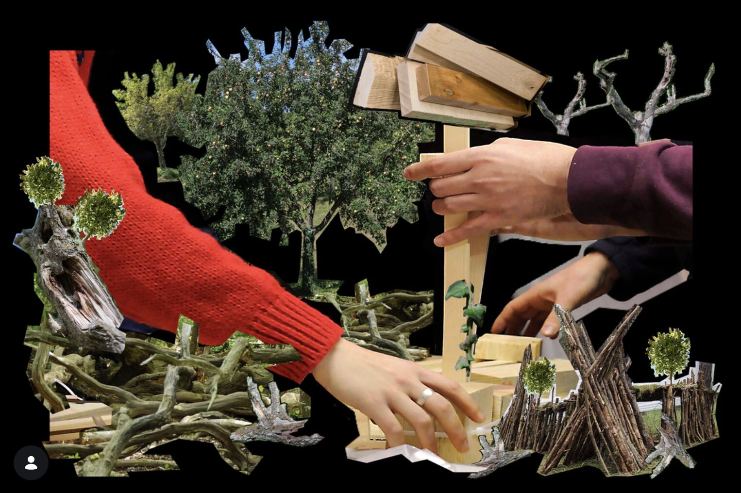 Collage: Hände, Pflanzen und Holz auf schwarzem Hintergrund.