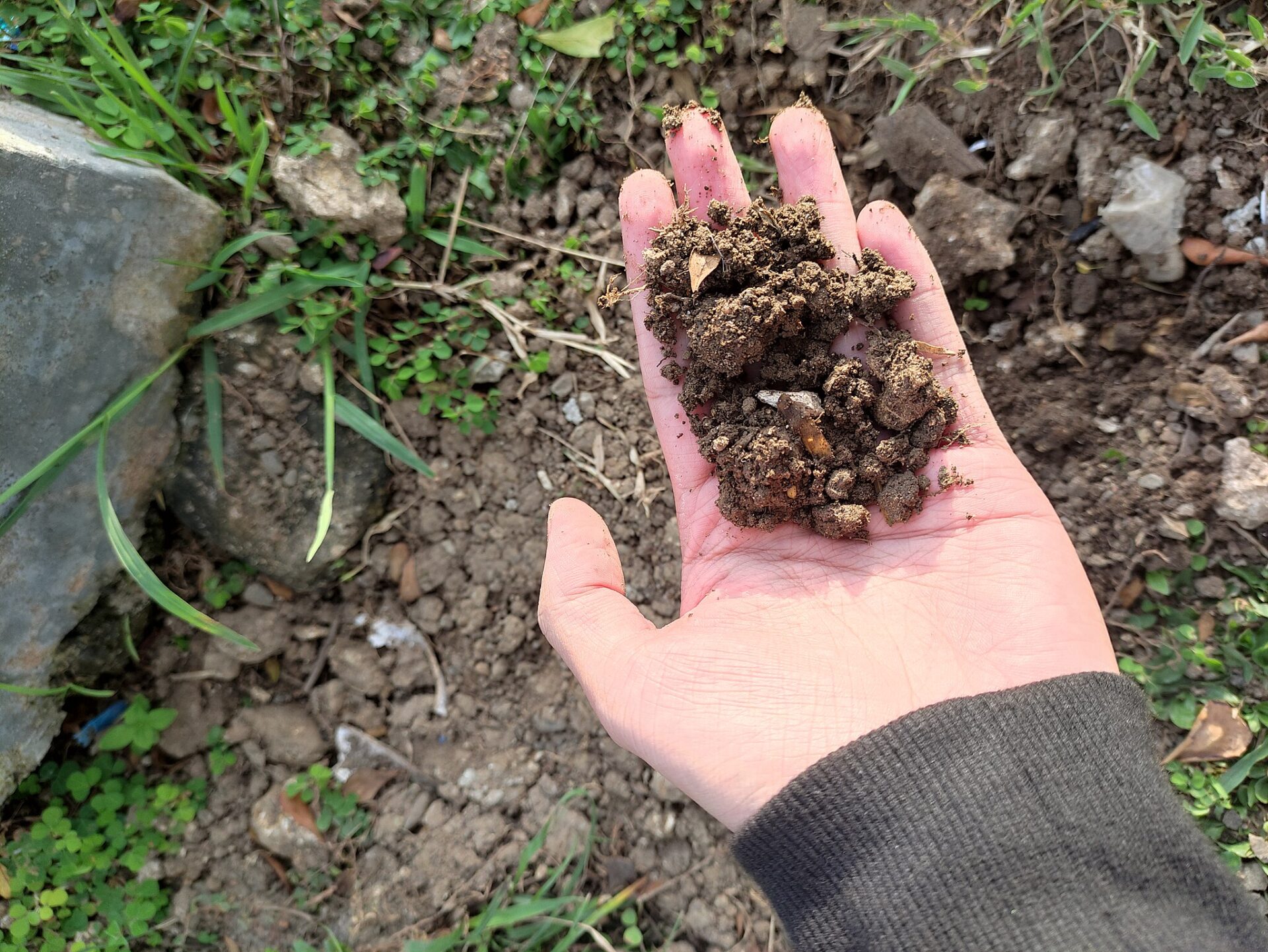 Eine Hand hält etwas Erde.