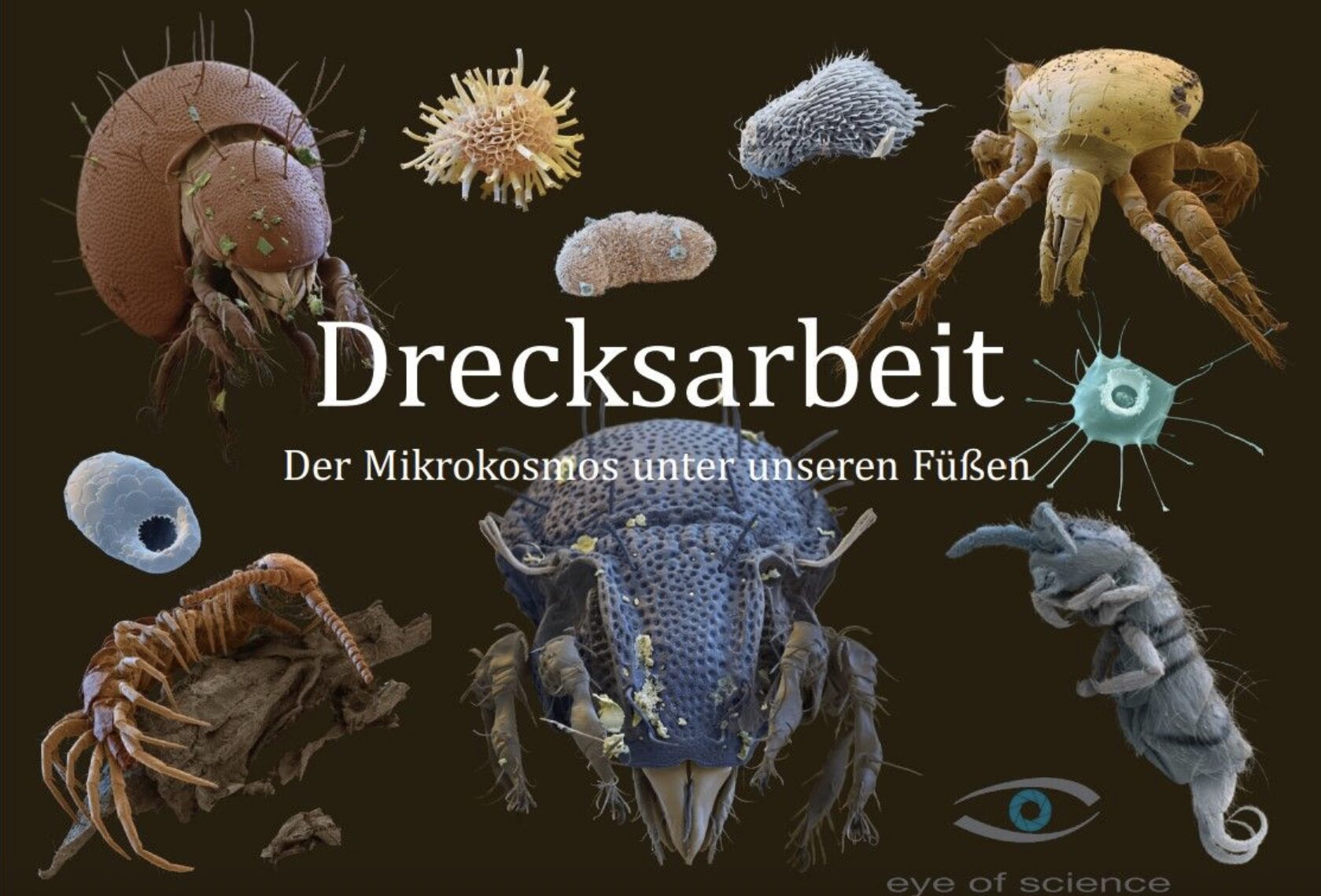 Bodenlebewesen nebeneinander in extremer Vergrößerung. Im Zentrum der Titel der Ausstellung: Drecksarbeit.