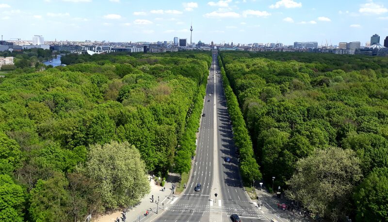 Blick auf den Park Tiergarten in Berlin und im Hintergrund der Fernsehturm und Häuser der Stadt.