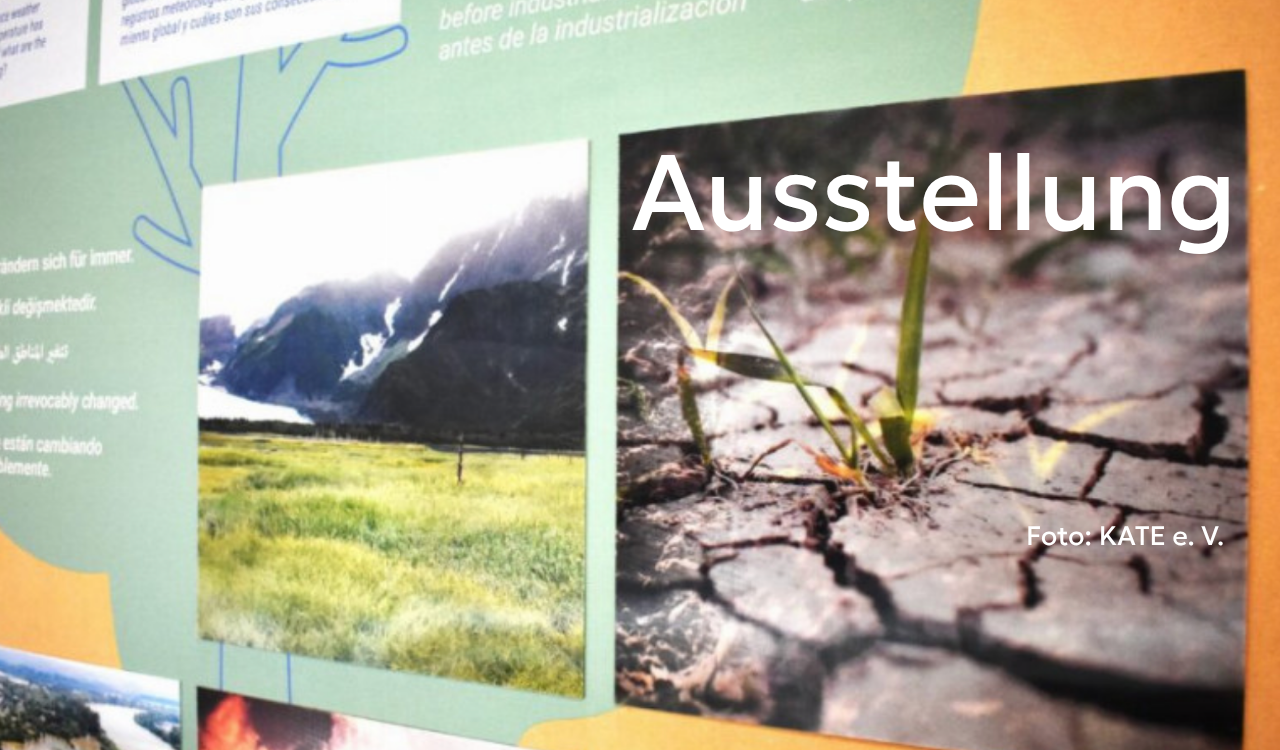 Foto einer Ausstellungswand mit Fotos von Landschaft uns augestrocknetem Boden.